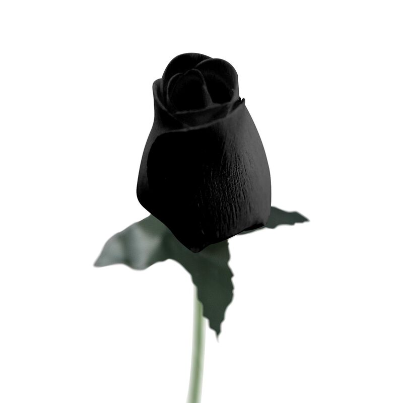 Rosas De Madera Negras South Beach Crafts &ndash; 32 ... image number null