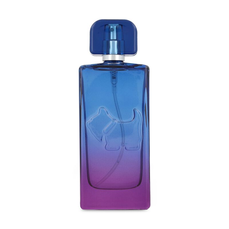 Ferrioni Sunset Vives Bombay 100Ml Edt Spray image number null
