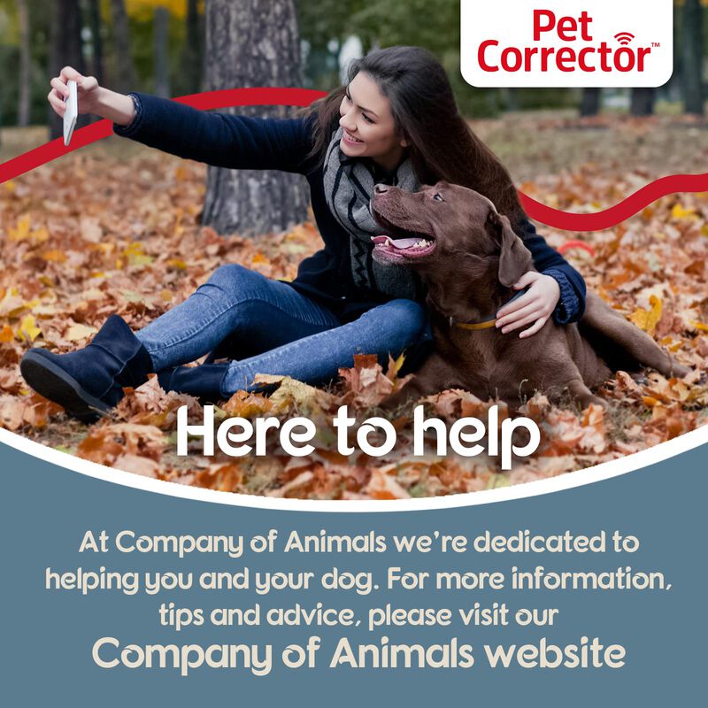 Corrector Para Mascotas Dog Trainer, 30 Ml (paq... image number null