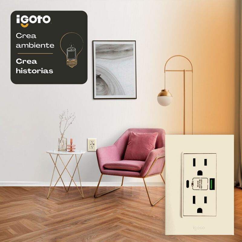 Placa con Contacto Duplex + USB+ USBC Marfil Ig... image number null