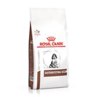 Royal Canin Gastro-Intestinal Puppy 4 Kg mas Pelota Spiny Caucho