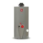 Boiler Calentador De Agua Rheem 38 Litros 1 Servicio Gas Natural 29v10s