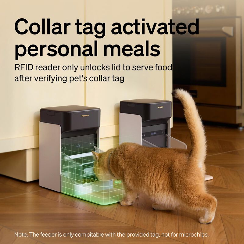 Comedero Autom&aacute;tico Para Gatos Petlibro Mejorad... image number null