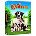 Beethoven 1-8 (dvd)