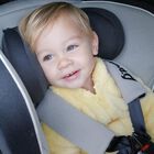 Booster D'Bebe Safe Ride Plus C/Respaldo Etapa Iii Gris