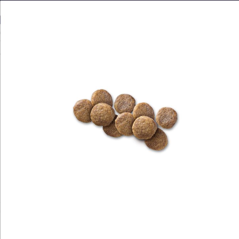 Hill's Canino Z/d 3.2 Kg Original Sellado image number null