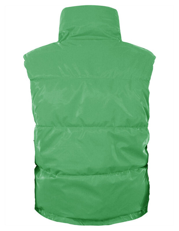 Chaleco Corto Brilloso Mujer Verde Roosevelt A2... image number null