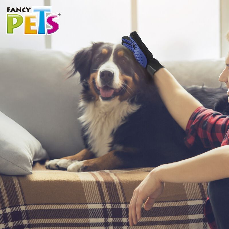 Fancy Pets Guante 2 En 1 Retira Pelo Muerto Par... image number null