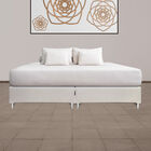 Box King size Dicasa Dolum Beige Claro