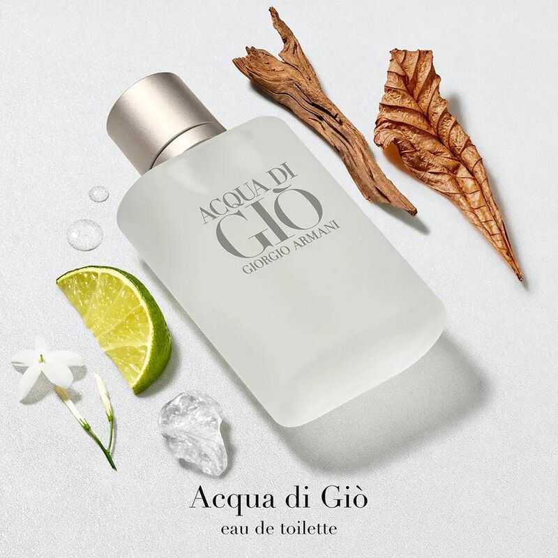 Perfume de Hombre Giorgio Armani Acqua Di Gio 1... image number null