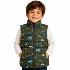 Chaleco American Fly 2652 Para Ni&ntilde;o Estampado Dinosaurios