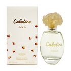 Perfume Gres Cabotine Gold Eau De Toilette 100 Ml Para Mujer