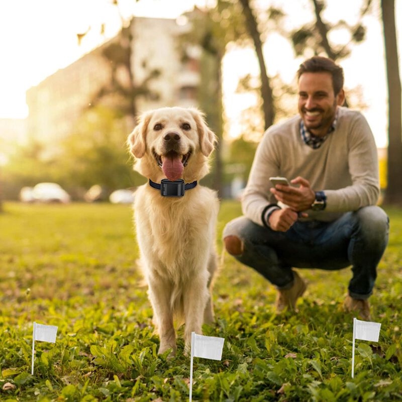 Cerca El&eacute;ctrica Para Perros Imountek 5000 m&sup2; &ndash; ... image number null