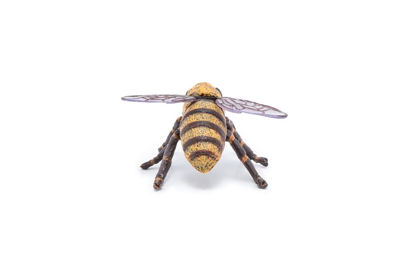 Figura De Papo Wild Animal Kingdom Bee 50256, C... image number null