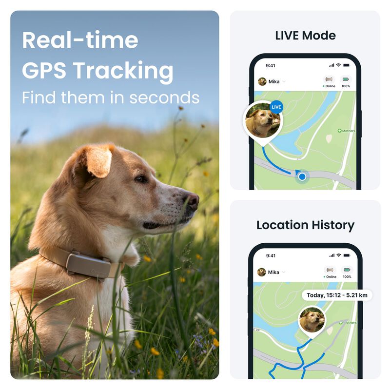 Rastreador Gps Para Perros Tractive 2025, Versi... image number null