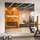 Espejo De Pared Trahome De 16 X 12 Pulgadas X 12 Piezas De Longitud Completa Para Gimnasio En Casa