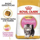 Royal Canin FBN Persian Kitten 3 LB 1.3 kg