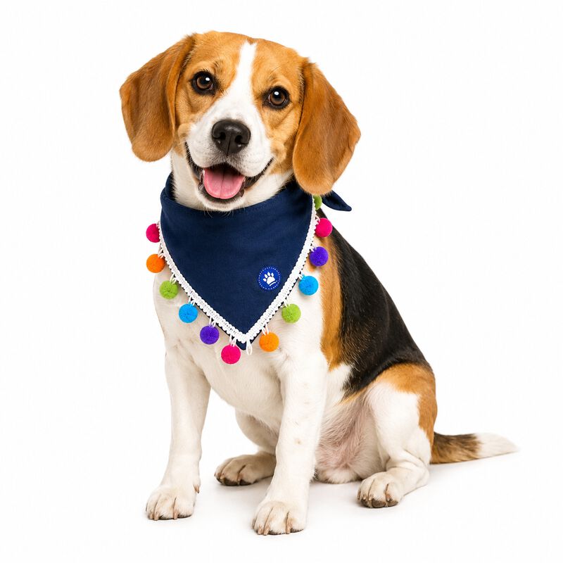 Paliacate Perro Boho Mezclilla Pompones Talla M... image number null