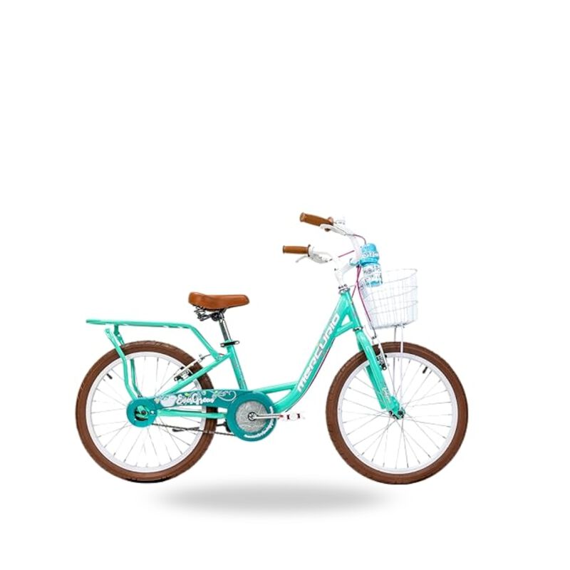 Bici Mercurio Evergreen R20 1v Menta/Azul 21723 image number null
