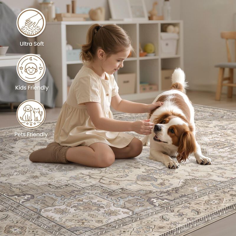 Alfombra De &Aacute;rea Eieihouse 178x229 Cm Lavable V... image number null