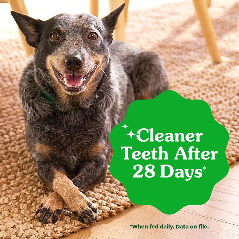 Greenies Original Dental Treats, Golosinas De C... image number null
