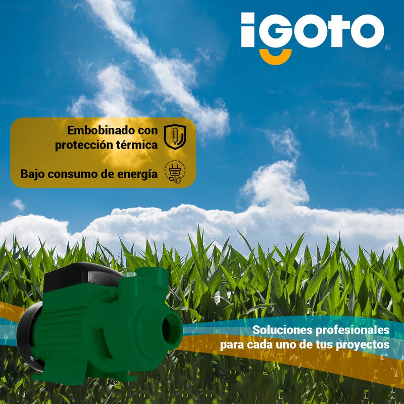 Bomba Periferica 1/2 Hp, 370 W Igoto Pe-60 image number null