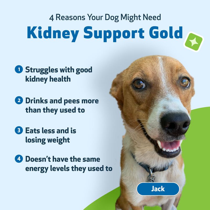 Suplemento Pet Wellbeing Kidney Support Gold Pa... image number null