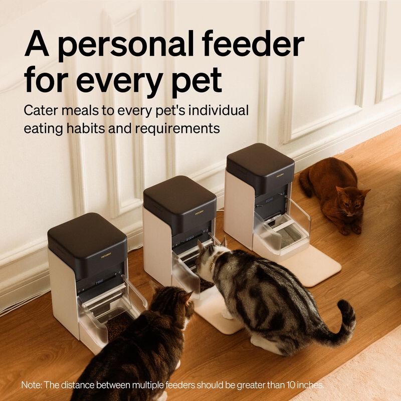 Comedero Autom&aacute;tico Para Gatos Petlibro Mejorad... image number null