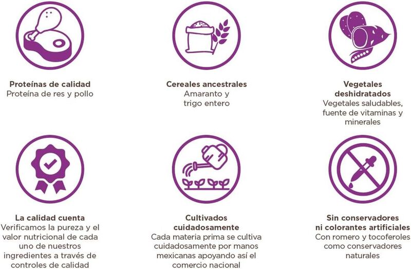 Nufit Cachorro Nfv 20kg image number null