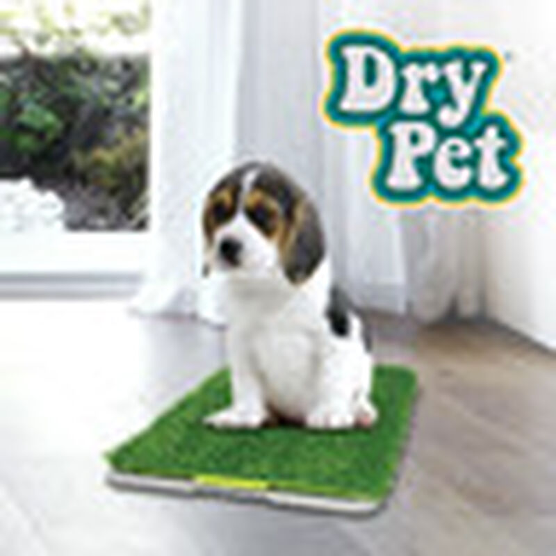 Dry Pet Doggie Grass Tapete Entrenador para Per... image number null