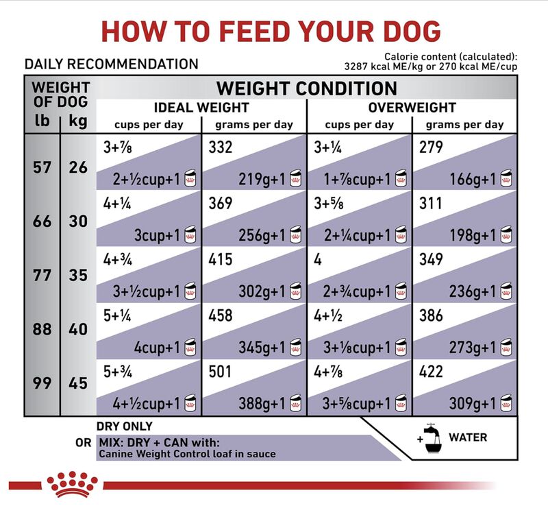 Royal Canin Weight Control 8 Kg Original Sellad... image number null