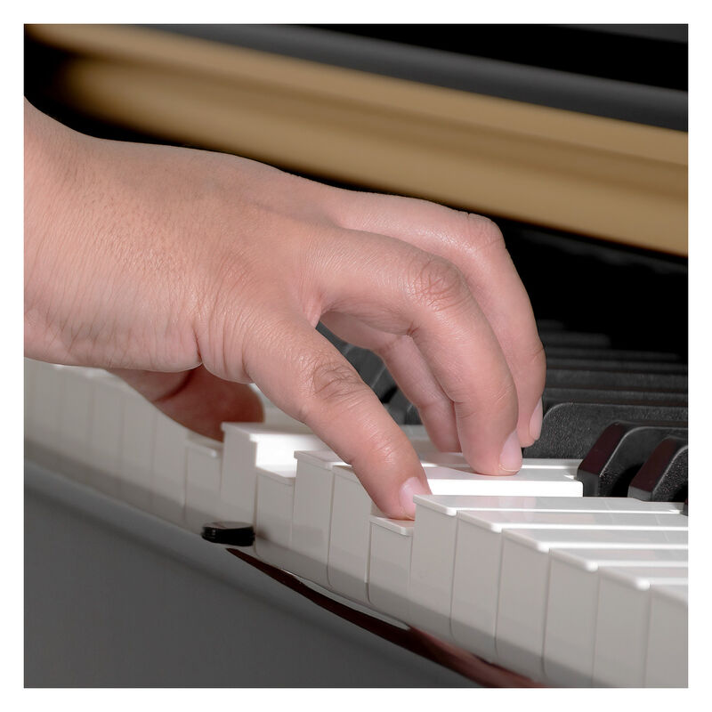Piano Teclado Eléctrico 88 Teclas Digital 15v 3... image number null