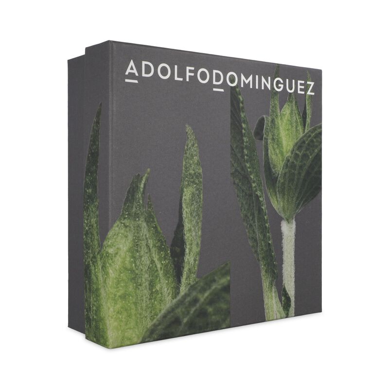 Set Adolfo Dominguez Ebano Salvia 3pzs Fraganci... image number null