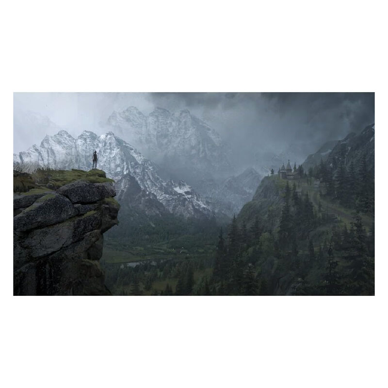 PS4 Juego Rise Of The Tomb Raider 20 Year Celeb... image number null