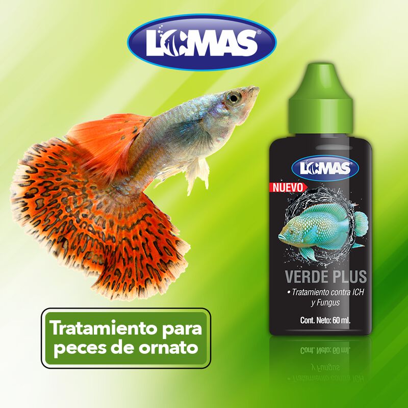 Lomas Verde Plus Contra Ich Y Fungus Para Peces... image number null