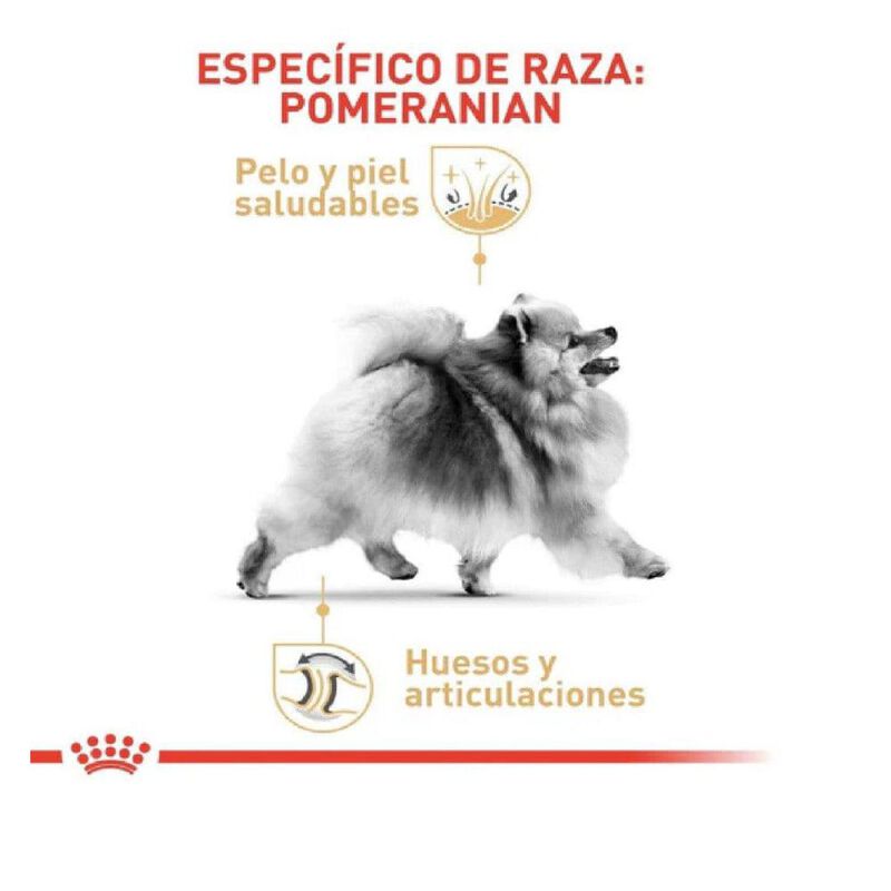 Royal Canin Bhn Pomeranian Adult 1.1 Kg Origina... image number null