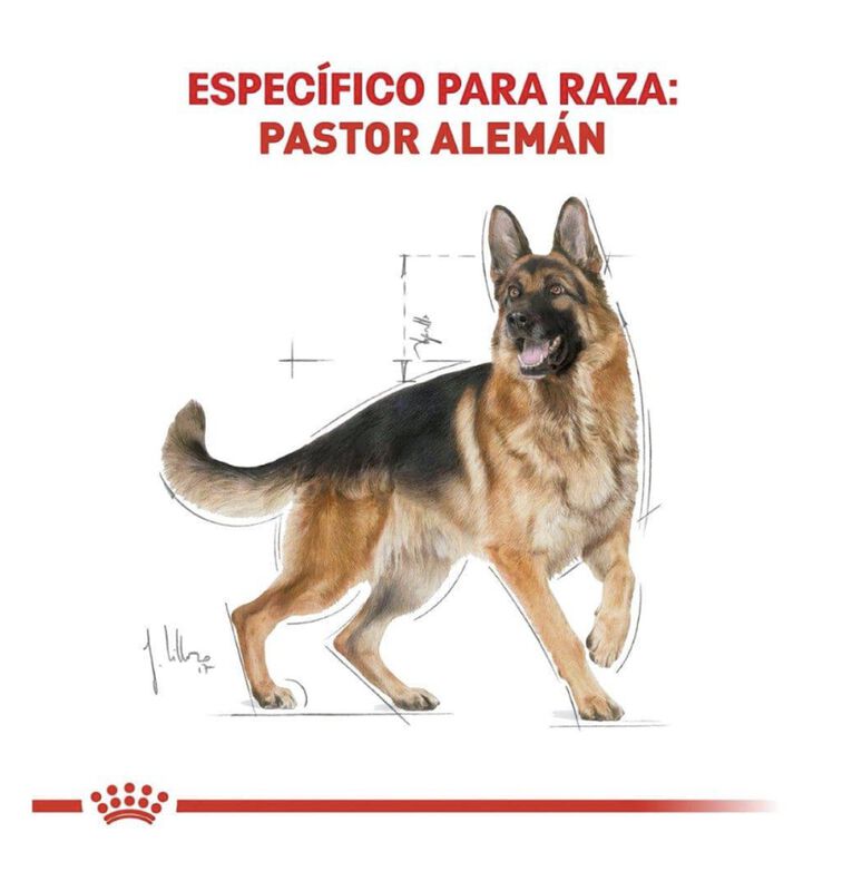 Royal Canin Bhn German Shepherd 13.6 Kg Origina... image number null