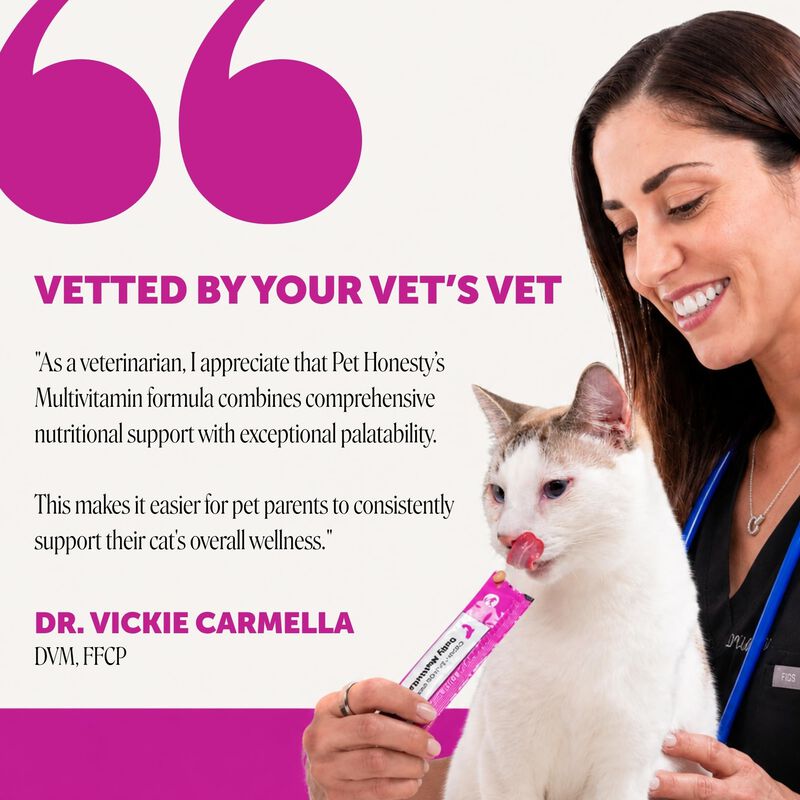 Multivitam&iacute;nico Para Gatos Pet Honesty 20 Sobre... image number null