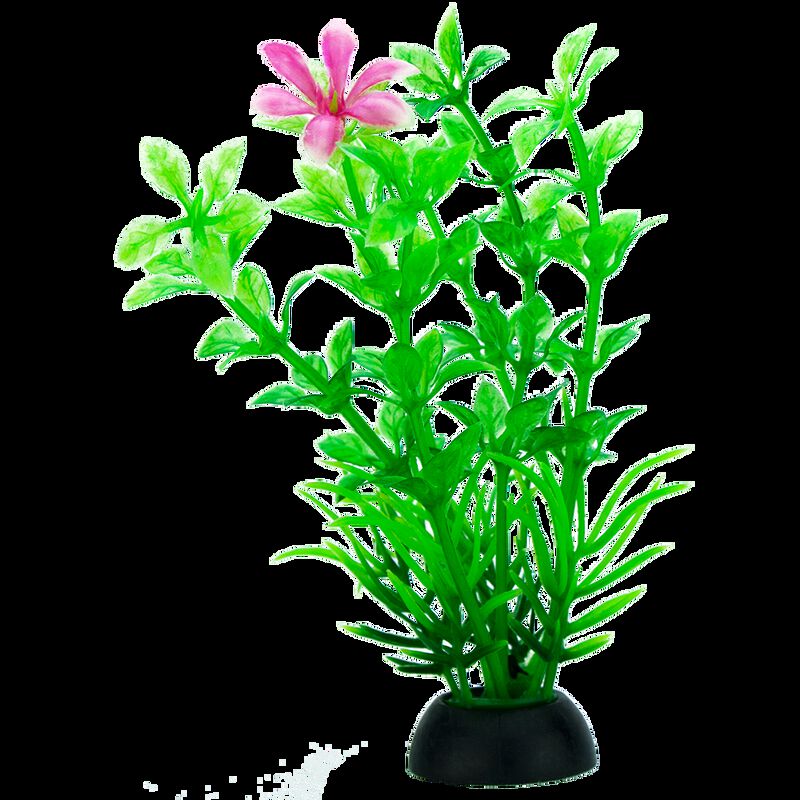 Lomas Plantas De Pl&aacute;stico Surtidas De 20 Cent&iacute;m... image number null