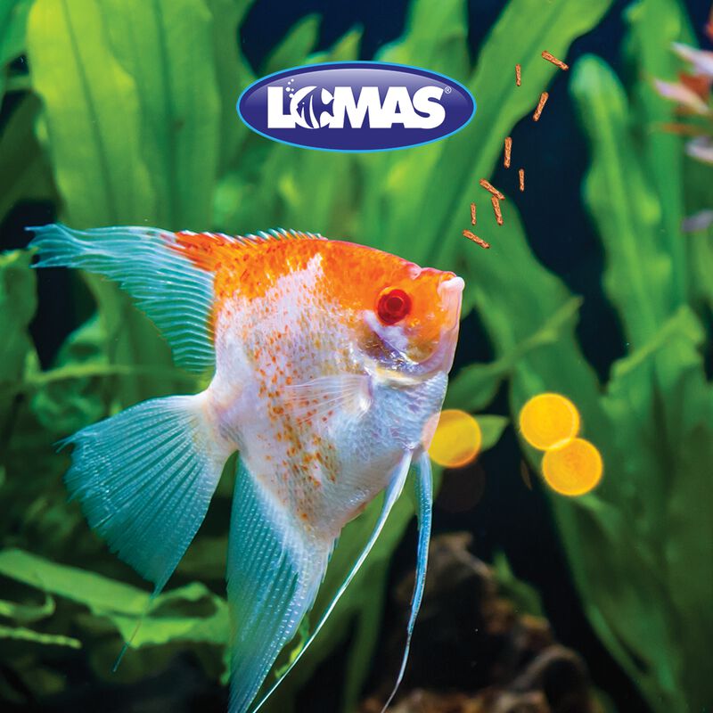 Lomas Alimento Mini Pelets Para Peces Tropicale... image number null
