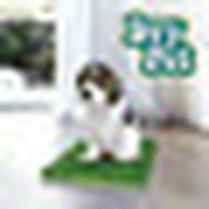 Dry Pet Doggie Grass Tapete Entrenador para Per... image number null