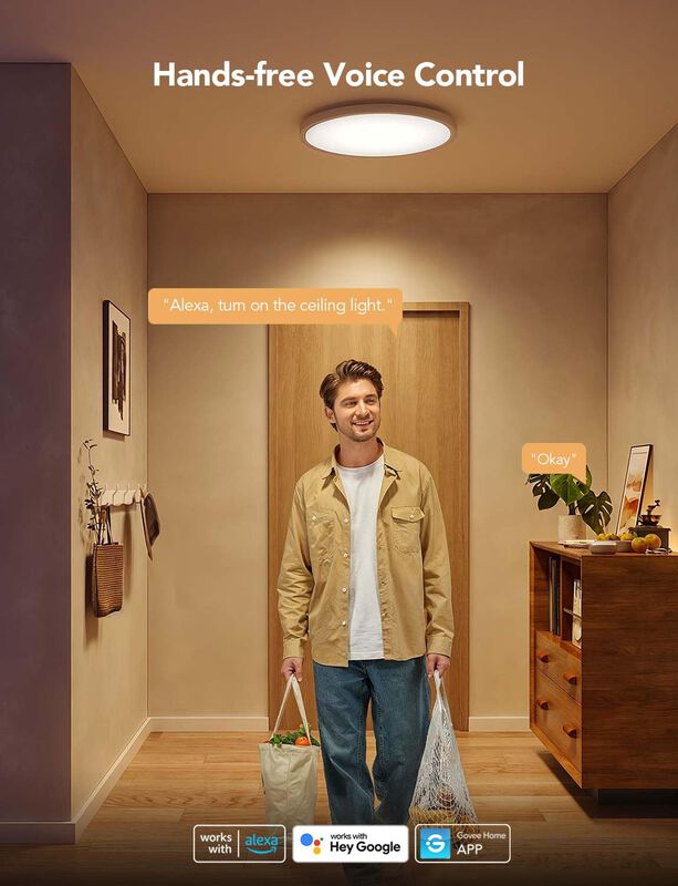L&aacute;mpara De Techo Govee Smart Rgbic Led 2400lm 1... image number null