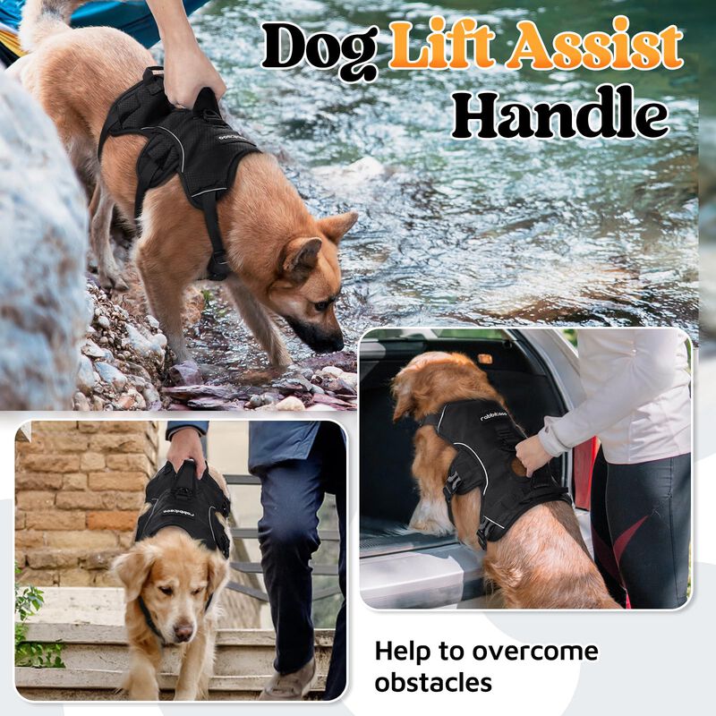 Arn&eacute;s Para Perros Rabbitgoo Escape Proof De Cue... image number null
