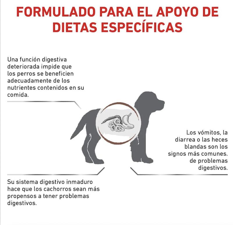 Royal Canin Gastro-intestinal Puppy 4 Kg image number null