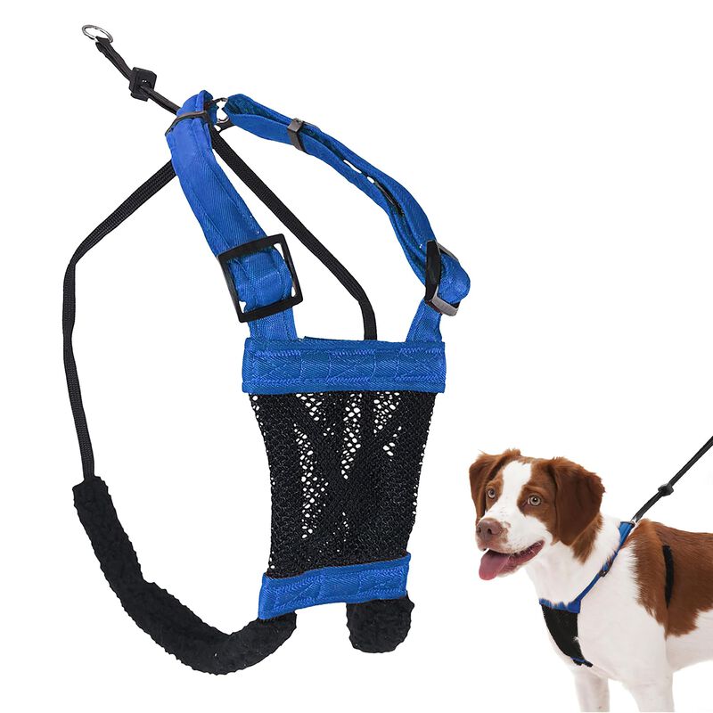 Arn&eacute;s Ant Tir&oacute;n Sporn Para Perro Talla Mediana ... image number null