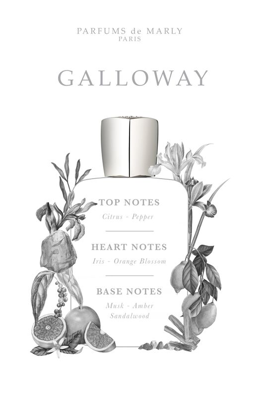 Perfume Parfums De Marly Galloway Eau De Parfum... image number null