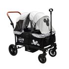 Carriola Doble Vag&oacute;n Everett Disney Mickey Plegable