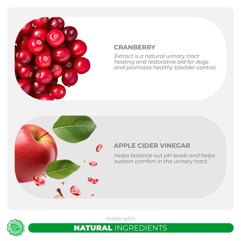 Suplemento Coco And Luna Cranberry Para Perros ... image number null