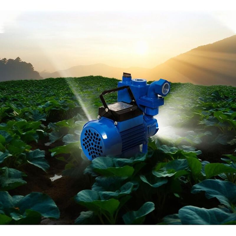 Bomba Autocebante Igoto AT60 Para Bombeo y Aspi... image number null