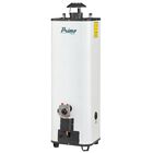 Calentador De R&aacute;pida Recuperaci&oacute;n Primo Plus, Iusa, Piezoel&eacute;ctrico, 12 L., Gas Lp.